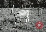 Image l'industrie dans l'Appalachia Marion Virginia USA, 1934, de la seconde 46 séquences d'archives historiques vidéo 65675023100