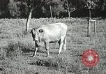 Image l'industrie dans l'Appalachia Marion Virginia USA, 1934, de la seconde 47 séquences d'archives historiques vidéo 65675023100