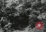 Immagine di Missionario rurale Marion Virginia USA, 1934, secondo 54 filmato di repertorio 65675023103