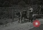 Image les soins de santé dans l'Appalachia Boone North Carolina USA, 1934, de la seconde 21 séquences d'archives historiques vidéo 65675023109