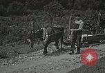 Image les soins de santé dans l'Appalachia Boone North Carolina USA, 1934, de la seconde 22 séquences d'archives historiques vidéo 65675023109