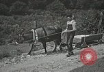 Image les soins de santé dans l'Appalachia Boone North Carolina USA, 1934, de la seconde 23 séquences d'archives historiques vidéo 65675023109