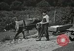 Image les soins de santé dans l'Appalachia Boone North Carolina USA, 1934, de la seconde 24 séquences d'archives historiques vidéo 65675023109