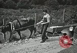 Image les soins de santé dans l'Appalachia Boone North Carolina USA, 1934, de la seconde 25 séquences d'archives historiques vidéo 65675023109