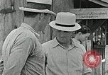 Image Cumberland Homesteads Cumberland Tennessee USA, 1935, de la seconde 11 séquences d'archives historiques vidéo 65675023111