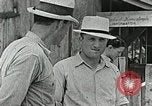 Image Cumberland Homesteads Cumberland Tennessee USA, 1935, de la seconde 17 séquences d'archives historiques vidéo 65675023111