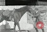 Standbild Appalachian health care Campbell County Tennessee USA, 1935, aus Sekunde 1 historischem Filmmaterial Videoclip 65675023112
