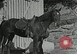 Standbild Appalachian health care Campbell County Tennessee USA, 1935, aus Sekunde 3 historischem Filmmaterial Videoclip 65675023112