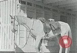 Standbild Appalachian health care Campbell County Tennessee USA, 1935, aus Sekunde 13 historischem Filmmaterial Videoclip 65675023112