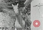 Standbild Appalachian health care Campbell County Tennessee USA, 1935, aus Sekunde 17 historischem Filmmaterial Videoclip 65675023112