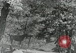Standbild Appalachian health care Campbell County Tennessee USA, 1935, aus Sekunde 24 historischem Filmmaterial Videoclip 65675023112