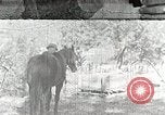 Image of Allanstand Cottage Industries Asheville North Carolina USA, 1935, second 1 stock footage video 65675023115