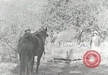 Image of Allanstand Cottage Industries Asheville North Carolina USA, 1935, second 3 stock footage video 65675023115