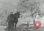 Image of Allanstand Cottage Industries Asheville North Carolina USA, 1935, second 4 stock footage video 65675023115