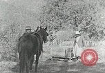 Image of Allanstand Cottage Industries Asheville North Carolina USA, 1935, second 5 stock footage video 65675023115