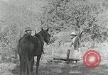 Image of Allanstand Cottage Industries Asheville North Carolina USA, 1935, second 6 stock footage video 65675023115