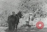 Image of Allanstand Cottage Industries Asheville North Carolina USA, 1935, second 7 stock footage video 65675023115