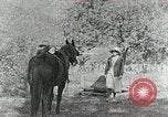 Image of Allanstand Cottage Industries Asheville North Carolina USA, 1935, second 8 stock footage video 65675023115