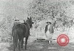 Image of Allanstand Cottage Industries Asheville North Carolina USA, 1935, second 9 stock footage video 65675023115