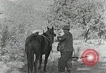 Image of Allanstand Cottage Industries Asheville North Carolina USA, 1935, second 10 stock footage video 65675023115