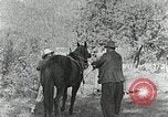 Image of Allanstand Cottage Industries Asheville North Carolina USA, 1935, second 11 stock footage video 65675023115