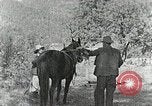 Image of Allanstand Cottage Industries Asheville North Carolina USA, 1935, second 12 stock footage video 65675023115
