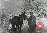 Image of Allanstand Cottage Industries Asheville North Carolina USA, 1935, second 13 stock footage video 65675023115