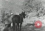 Image of Allanstand Cottage Industries Asheville North Carolina USA, 1935, second 15 stock footage video 65675023115