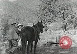 Image of Allanstand Cottage Industries Asheville North Carolina USA, 1935, second 16 stock footage video 65675023115