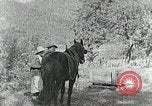 Image of Allanstand Cottage Industries Asheville North Carolina USA, 1935, second 17 stock footage video 65675023115