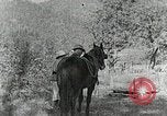 Image of Allanstand Cottage Industries Asheville North Carolina USA, 1935, second 19 stock footage video 65675023115