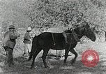 Image of Allanstand Cottage Industries Asheville North Carolina USA, 1935, second 20 stock footage video 65675023115