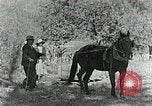 Image of Allanstand Cottage Industries Asheville North Carolina USA, 1935, second 21 stock footage video 65675023115