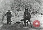 Image of Allanstand Cottage Industries Asheville North Carolina USA, 1935, second 22 stock footage video 65675023115