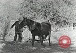 Image of Allanstand Cottage Industries Asheville North Carolina USA, 1935, second 23 stock footage video 65675023115