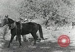 Image of Allanstand Cottage Industries Asheville North Carolina USA, 1935, second 24 stock footage video 65675023115