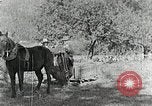 Image of Allanstand Cottage Industries Asheville North Carolina USA, 1935, second 25 stock footage video 65675023115