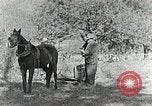 Image of Allanstand Cottage Industries Asheville North Carolina USA, 1935, second 27 stock footage video 65675023115
