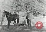 Image of Allanstand Cottage Industries Asheville North Carolina USA, 1935, second 28 stock footage video 65675023115