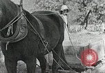 Image of Allanstand Cottage Industries Asheville North Carolina USA, 1935, second 31 stock footage video 65675023115