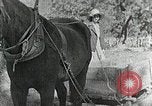 Image of Allanstand Cottage Industries Asheville North Carolina USA, 1935, second 32 stock footage video 65675023115
