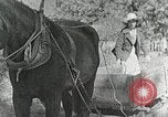 Image of Allanstand Cottage Industries Asheville North Carolina USA, 1935, second 33 stock footage video 65675023115