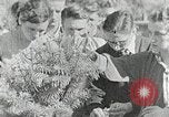 Standbild Appalachian Schule Madison County North Carolina USA, 1935, aus Sekunde 22 historischem Filmmaterial Videoclip 65675023116