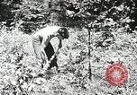 Immagine di Campi di lavoro estivi Flint Michigan USA, 1938, secondo 45 filmato di repertorio 65675023121