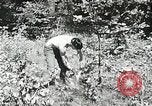 Immagine di Campi di lavoro estivi Flint Michigan USA, 1938, secondo 46 filmato di repertorio 65675023121