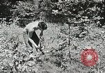 Immagine di Campi di lavoro estivi Flint Michigan USA, 1938, secondo 47 filmato di repertorio 65675023121