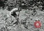 Immagine di Campi di lavoro estivi Flint Michigan USA, 1938, secondo 49 filmato di repertorio 65675023121