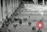 Standbild Quaker Picknick Saline Michigan USA, 1938, aus Sekunde 38 historischem Filmmaterial Videoclip 65675023122