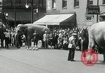 Image of Elephants bowling tourney Cincinnati Ohio USA, 1934, second 3 stock footage video 65675023131
