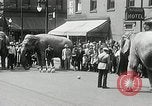 Image of Elephants bowling tourney Cincinnati Ohio USA, 1934, second 5 stock footage video 65675023131